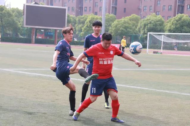 法布雷加斯反思战术失误，卡里克承担全部责任